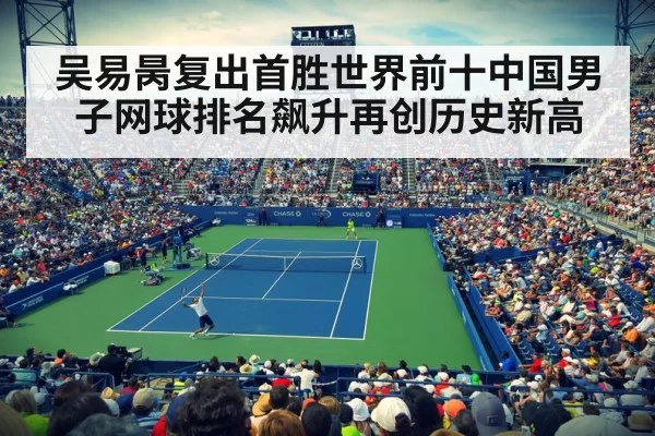 professional tennis match action