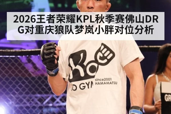 2026王者荣耀KPL秋季赛佛山DRG对重庆狼队梦岚小胖对位分析